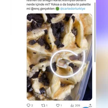 Carte d'Or Dondurmadan Çıkan Sinek Kanadı Buradaysa Sinek Nerede?