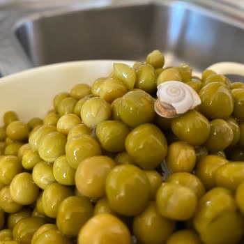 A101 Çokça Konserve Bezelye Böcekli Çıktı