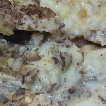 Musluoğlu Baklava Soğuk Baklava Kıl