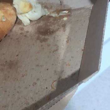 Domino's Pizza Dom Dom Burger