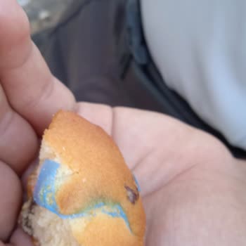 Eti Gıda Eti Topkek İçinden Naylon Çıktı