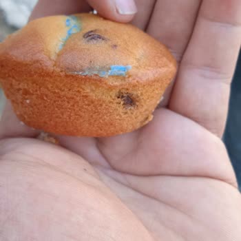 Eti Gıda Eti Topkek İçinden Naylon Çıktı