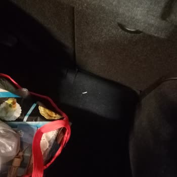 Carwax Erasta Şubesi Pişmanlığı