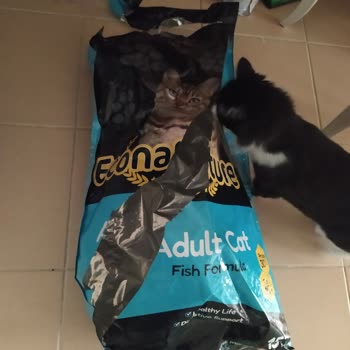 Mamaal.com Yırtık Deforme Ürün.