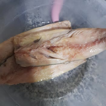 Balık Dünyası Bozuk Satılan Ürün