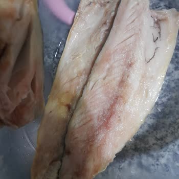 Balık Dünyası Bozuk Satılan Ürün