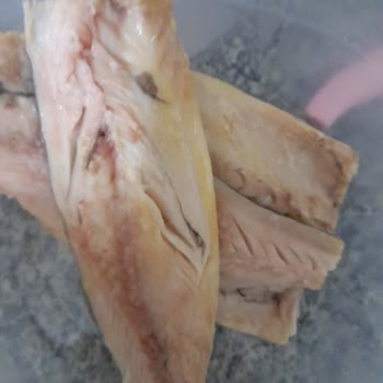 Balık Dünyası Bozuk Satılan Ürün