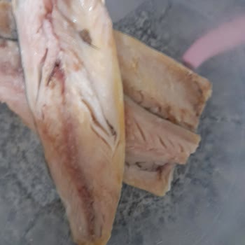 Balık Dünyası Bozuk Satılan Ürün