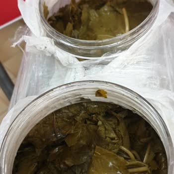 Ege Salamur (Instagram: Ege_salamur_) Eksik Geldi