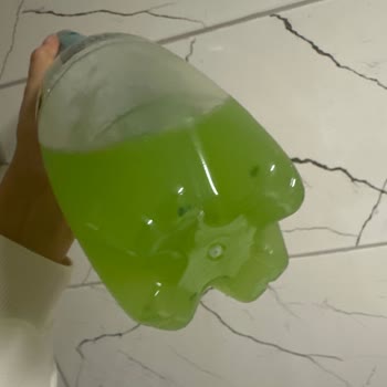 Schweppes İçinde Tortu Var
