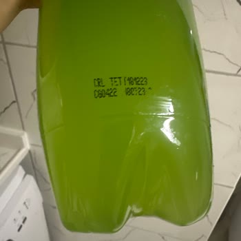 Schweppes İçinde Tortu Var