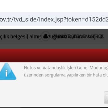 Gelir İdaresi Başkanlığı 25 Gündür İvd Sorunu Çözülmedi