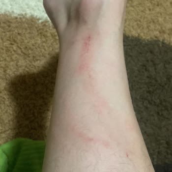 Türkiye Futbol Federasyonu Hakem Görevini Suistimal Etmiştir