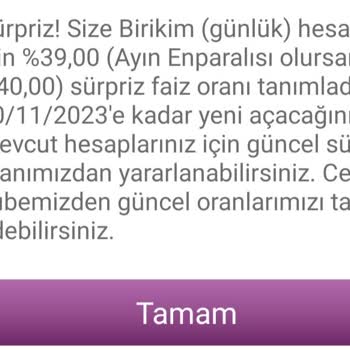 Enpara Birikim Hesabı Faiz Oranı Sorunu