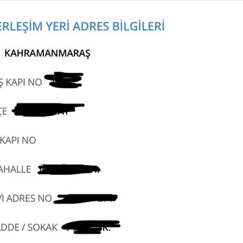 E-Devlet (Turkiye.gov.tr) İkamet Adresi İç Kapı No Hatası