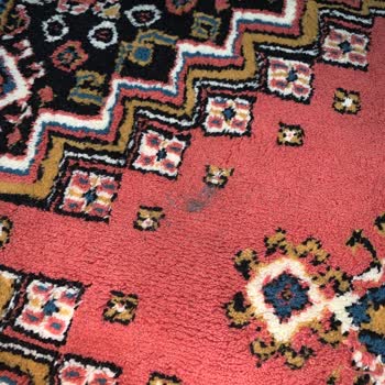 Sultangazi Papatyam Halı Yıkama Müşteri Memnuniyetsizliği