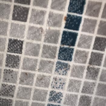 Sultangazi Papatyam Halı Yıkama Müşteri Memnuniyetsizliği