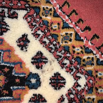 Sultangazi Papatyam Halı Yıkama Müşteri Memnuniyetsizliği