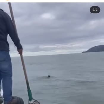 Instagram Reels Videoları Ana Sayfadan Çıkmıyor