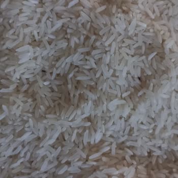 Tat Bakliyat Pirinçten Böcek Çıktı