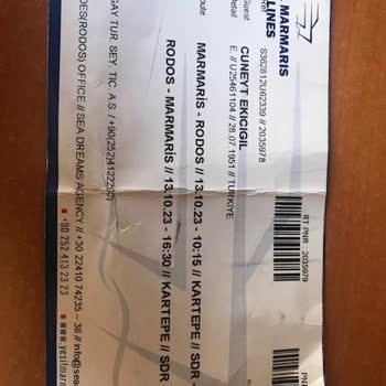 Yeşil Marmaris Lines Hizmet Aksaması, Mağduriyet