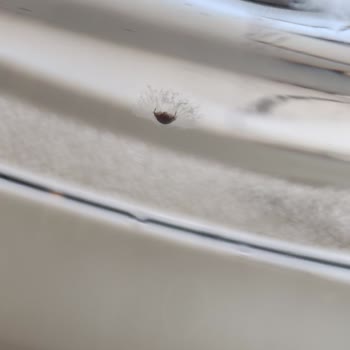 Mayadağ Doğal Kaynak Suyu Mayadağ Kalfa Köy Doğal Kaynak Suyu 19lt Damacana İçinde Böcek Var