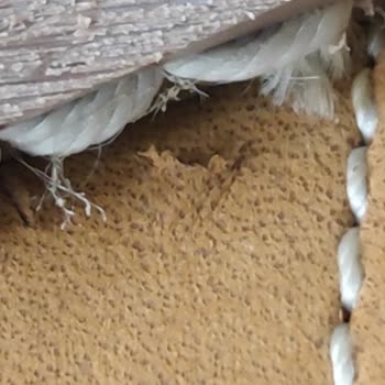 Boyner Defolu Gönderdiği Sıfır Botu Değiştirmiyor