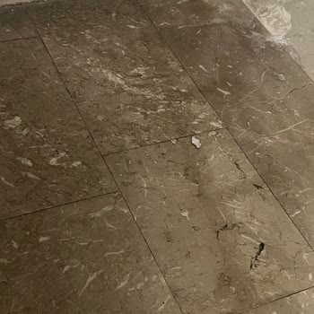 Defne Temizlik Pişmanlık Hizmetten Memnun Kalmadım