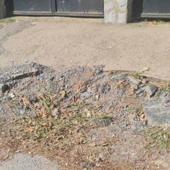 Şile Belediyesi Şile Belediyesi Cevre Düzenlemesi Sıkıntıları