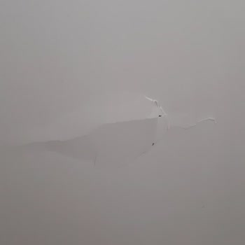 DASK Hasar Tespiti İçin Exper Göndermiyor