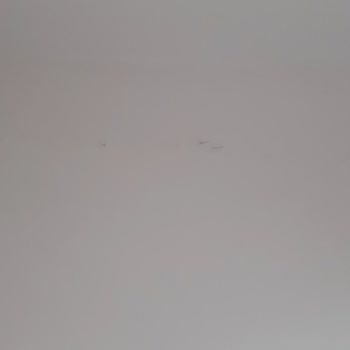 DASK Hasar Tespiti İçin Exper Göndermiyor