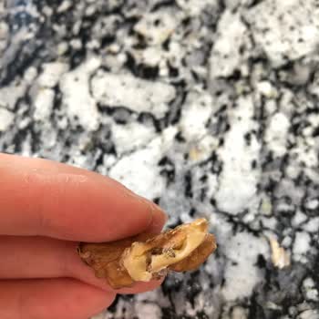 Med Asur Kuruyemiş Ceviz Böcekli Çıktı