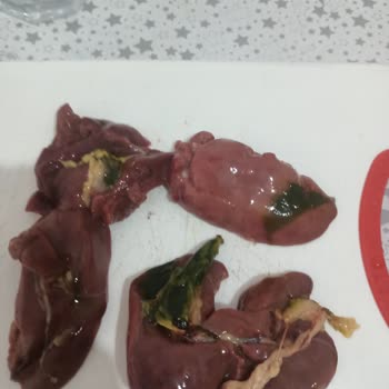 Erpiliç Tavuk Ciğeri İçinden Çıkanlar