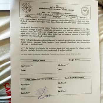 Başakşehir Çam ve Sakura Şehir Hastanesi Cam Ve Sakura Saçmalığı