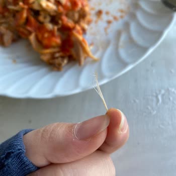 Has Tavuk - Tavuk Dönerinde Sağlık Riski