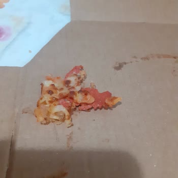 Domino's Pizza Pizzadan Çıkan Kıl