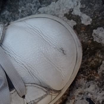 In Street Puma Ayakkabı İade Değişim