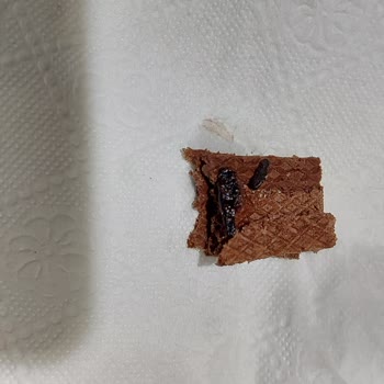 Eti Gıda Üründe Farklı Bir Cisim Çıktı