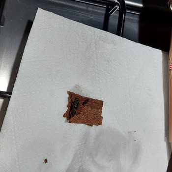 Eti Gıda Üründe Farklı Bir Cisim Çıktı