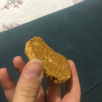 Eti Gıda Bir Kurabiye İçinde Beklenmedik Bir Buluntu