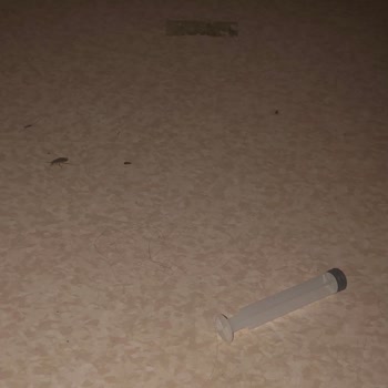 Namık Kemal Üniversitesi Hastanesi Çocuk Servisinde Hamam Böceği Kaynıyor