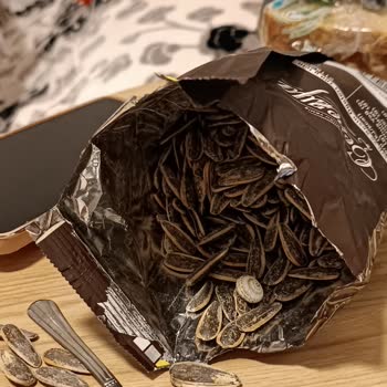 Çerezya Çekirdeğin İçinden Kabuklu Sümüklü Böcek Çıktı
