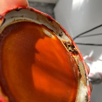 Erzincan Tulum (Instagram: Erzincantulumm) Ticari Ahlaka Uygun Olmayan Davranışlar