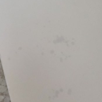 Bellona Sanvito Renk Atması