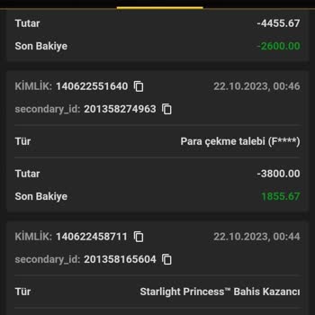 Pashagaming 5600 TL Olan Bakiyemi Sildi