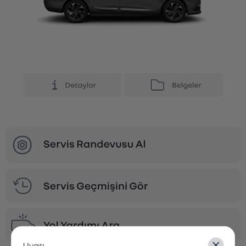 Renault Port Uygulamasında Aracımın Servis Geçmişine Ulaşılamıyor  