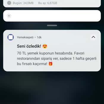 Yemek Sepeti Kupon Sorunu