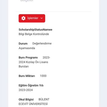 Türk Kızılay  Üniversite Bursu