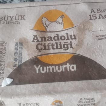 Anadolu Çiftliği Yumurtada Civciv Çıktı