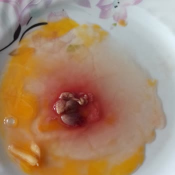 Anadolu Çiftliği Yumurtada Civciv Çıktı